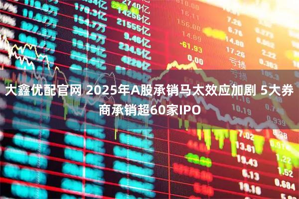 大鑫优配官网 2025年A股承销马太效应加剧 5大券商承销超60家IPO