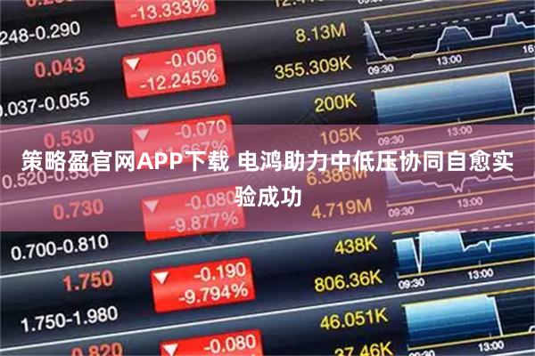 策略盈官网APP下载 电鸿助力中低压协同自愈实验成功