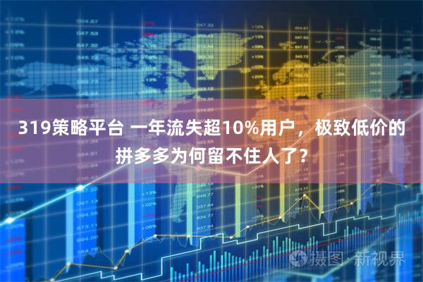 319策略平台 一年流失超10%用户，极致低价的拼多多为何留不住人了？