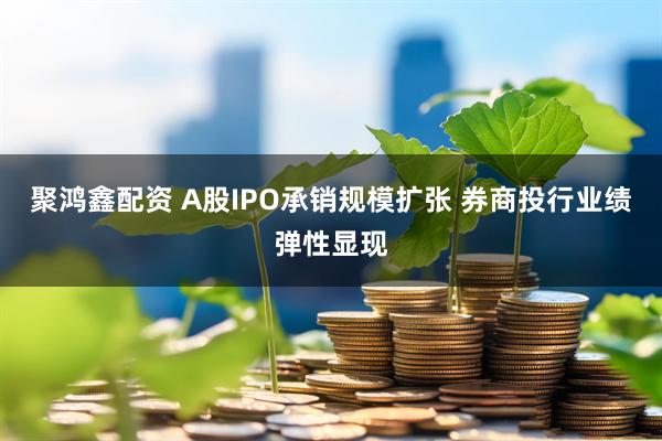 聚鸿鑫配资 A股IPO承销规模扩张 券商投行业绩弹性显现