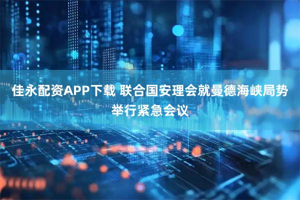 佳永配资APP下载 联合国安理会就曼德海峡局势举行紧急会议